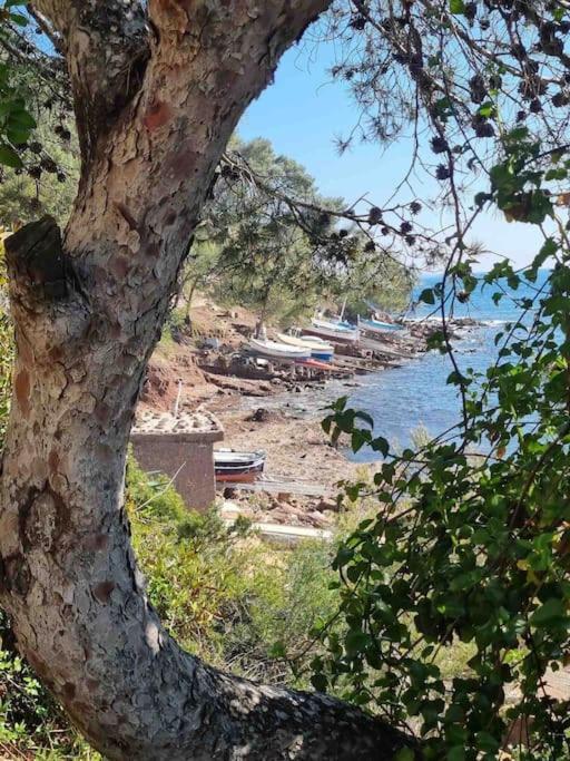 Appartement T2 A Fabregas, Proche Des Sablettes La Seyne-sur-Mer Luaran gambar