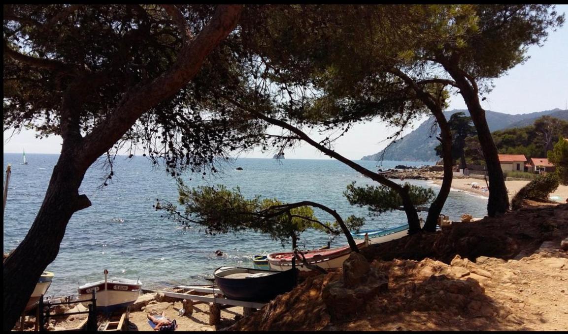 Appartement T2 A Fabregas, Proche Des Sablettes La Seyne-sur-Mer Luaran gambar